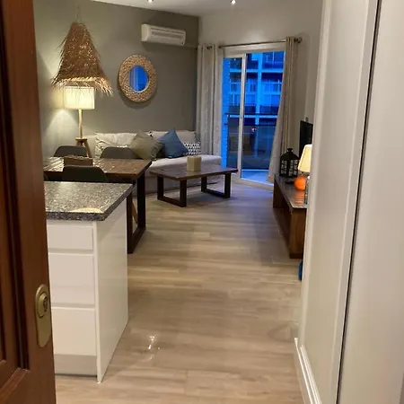 Skol 420c Fantastico 1 Primera Linea De Playa Marbella